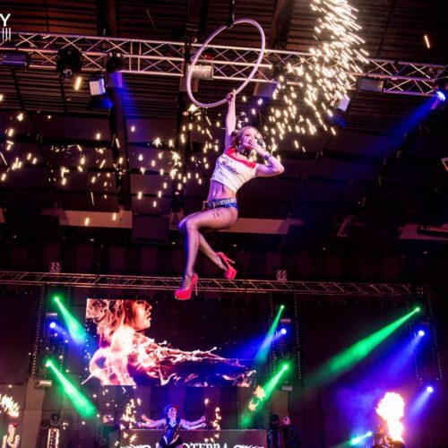 Pyroterra_AerialAcro_hoop2