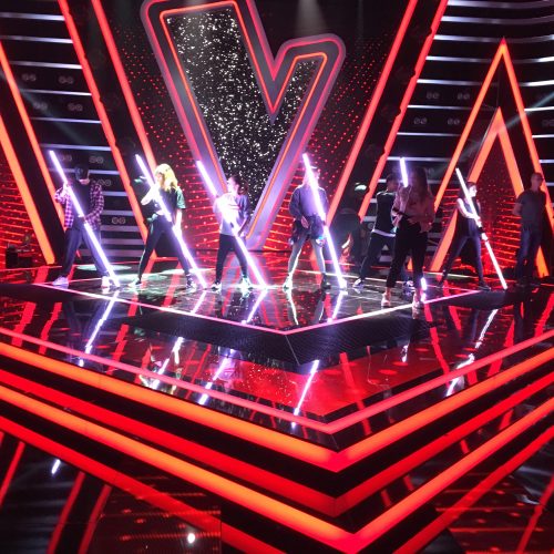 The Voice LED light sticks