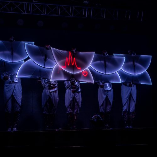 Pyroterra_interactive_lightshow-20